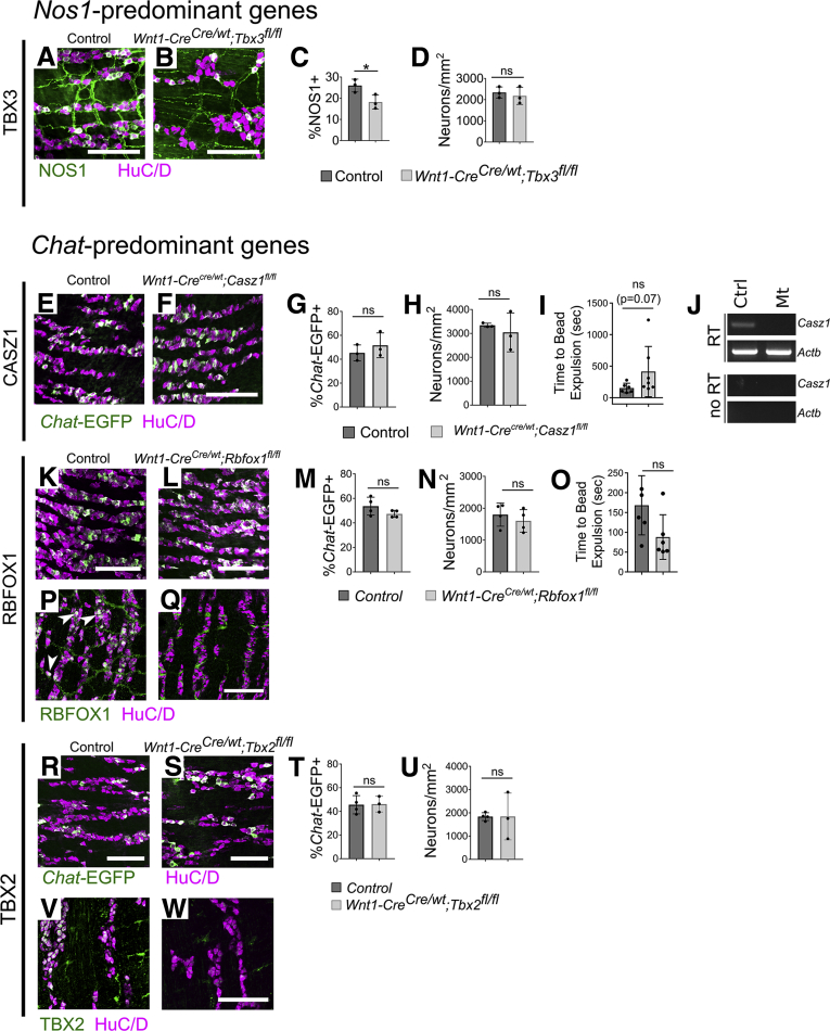 Figure 14