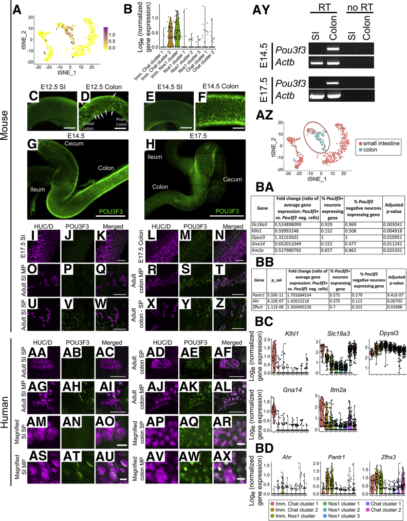 Figure 15