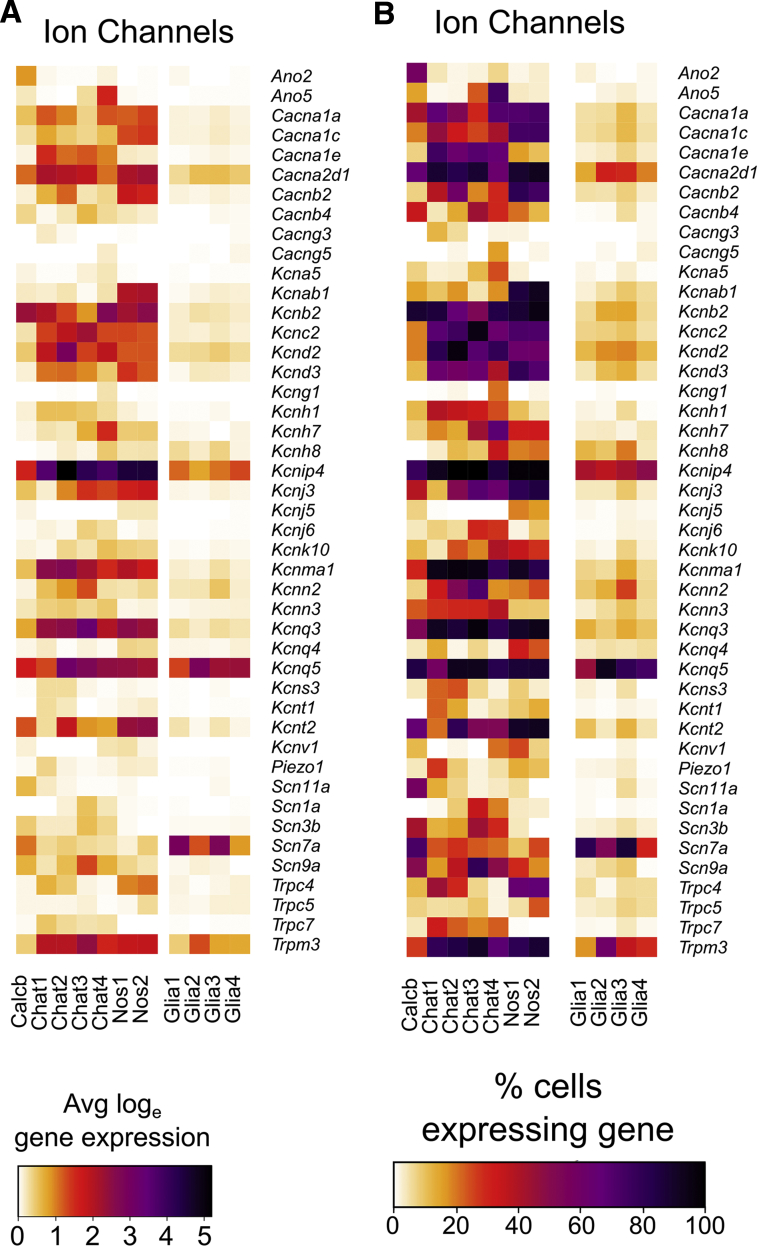 Figure 4