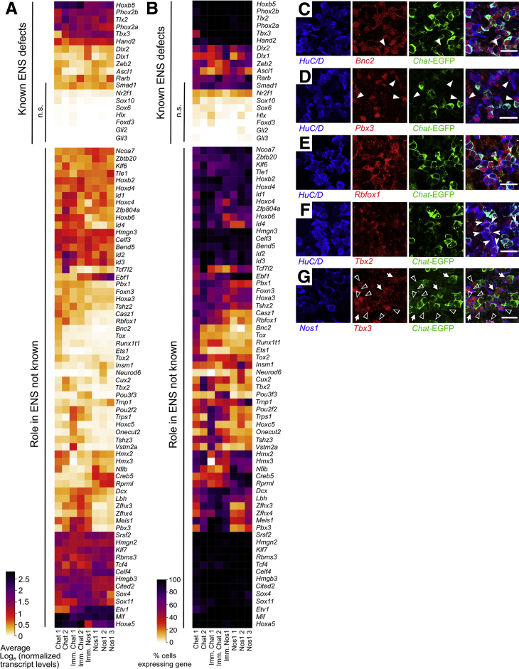 Figure 12