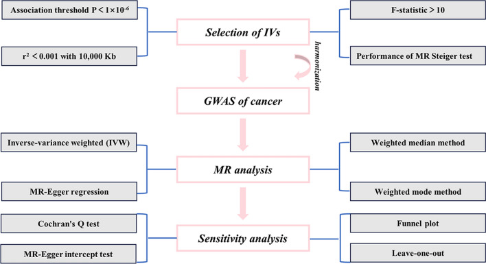 Fig. 2