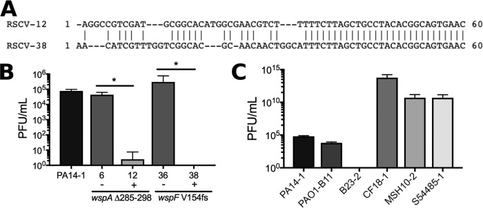 FIG 6