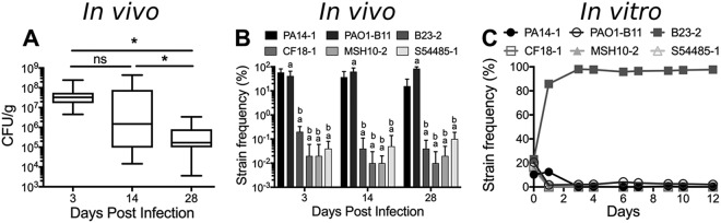 FIG 1