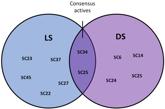 Figure 13