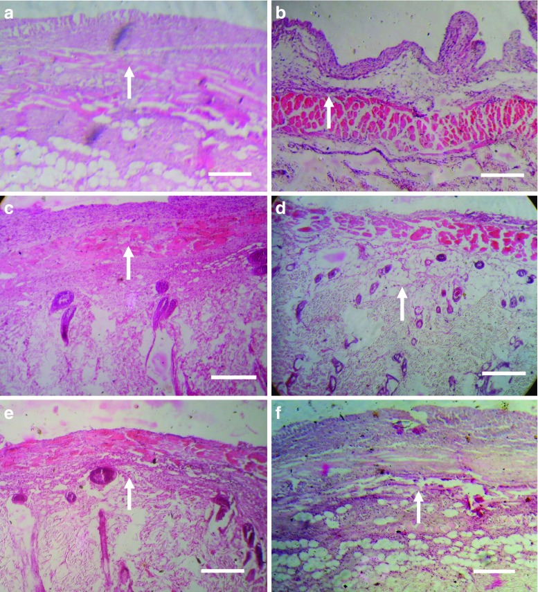 Fig. 4