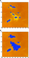 Figure 5.