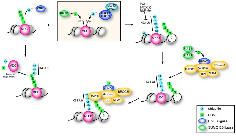 FIGURE 3