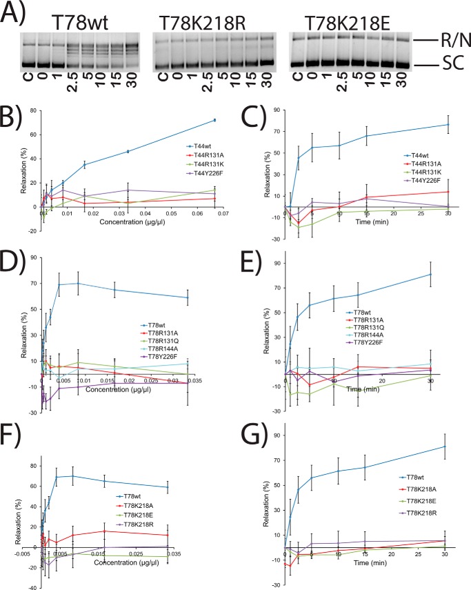 FIGURE 5.