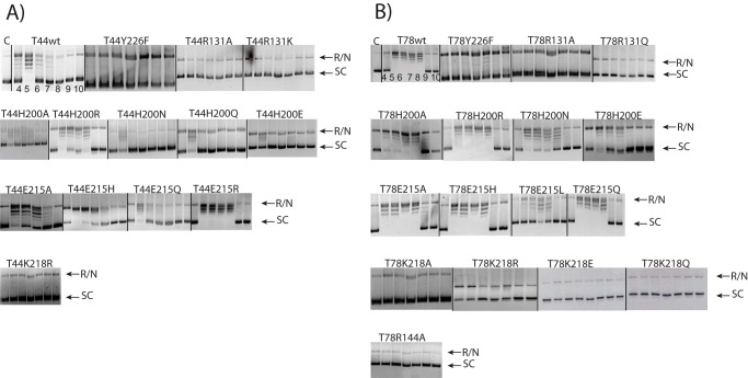 FIGURE 3.