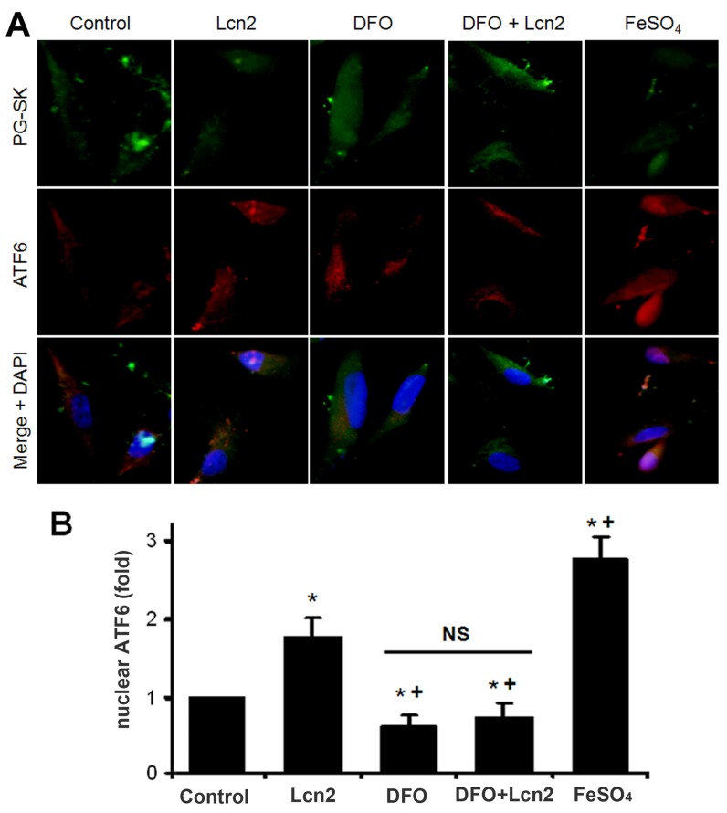 Figure 5