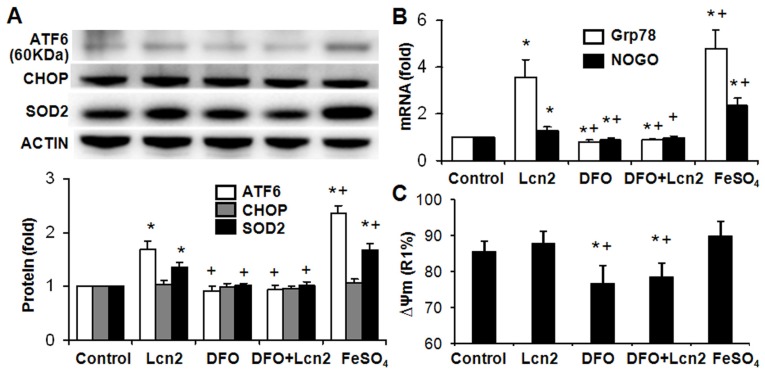 Figure 6