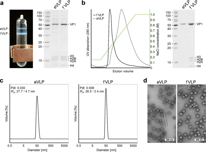 FIG 1