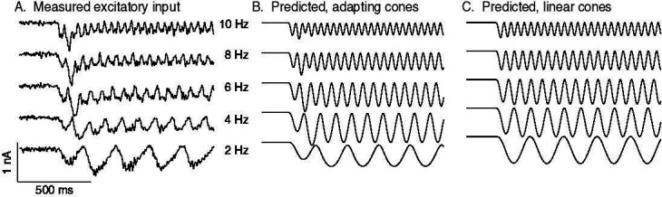 Figure 6—figure supplement 2.