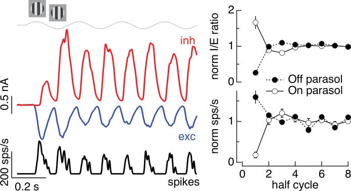 Figure 5—figure supplement 1.