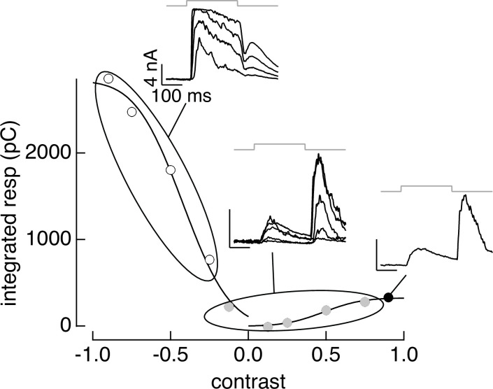 Figure 3—figure supplement 1.