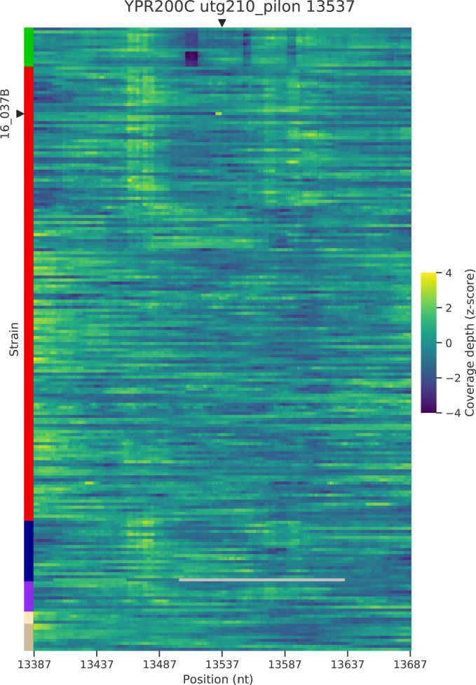 Figure 5—figure supplement 5.