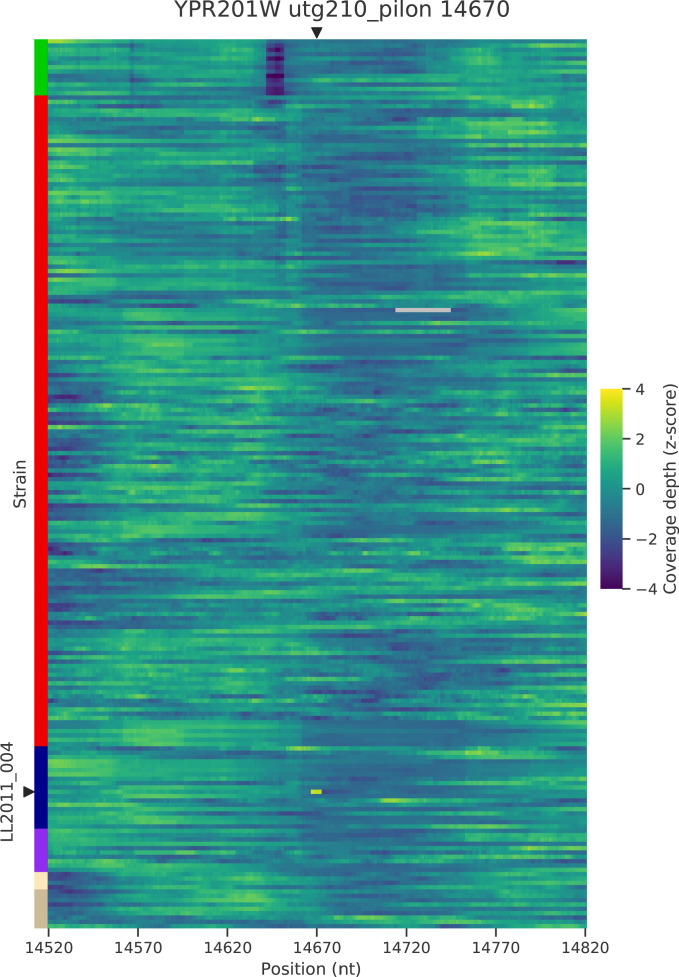 Figure 5—figure supplement 6.