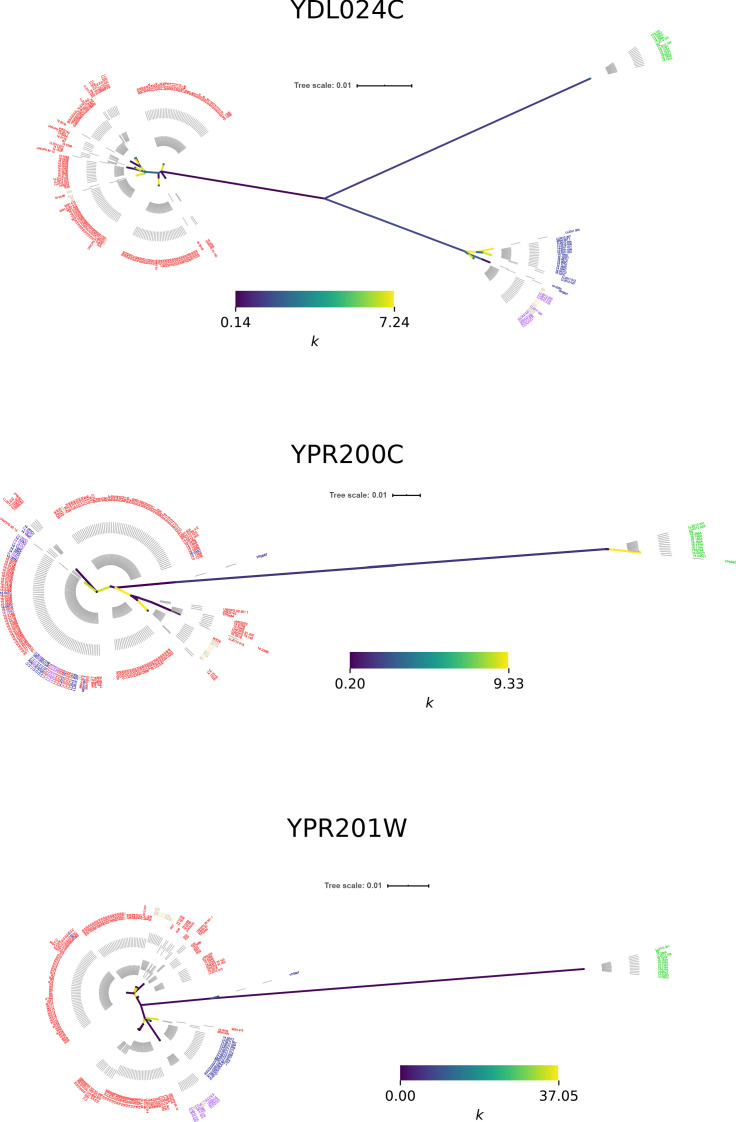 Figure 5—figure supplement 11.