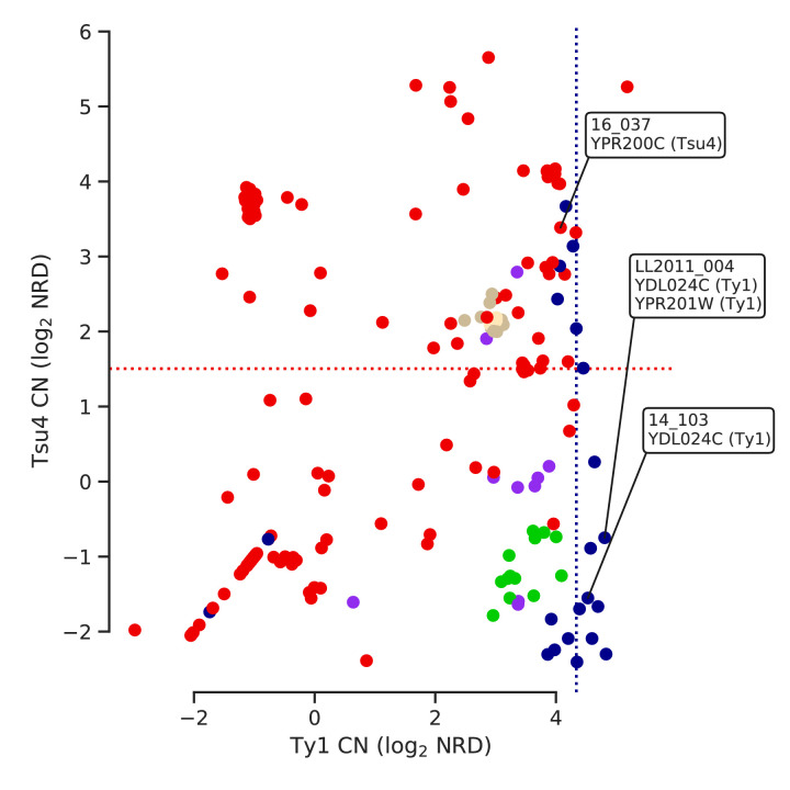 Figure 5—figure supplement 2.