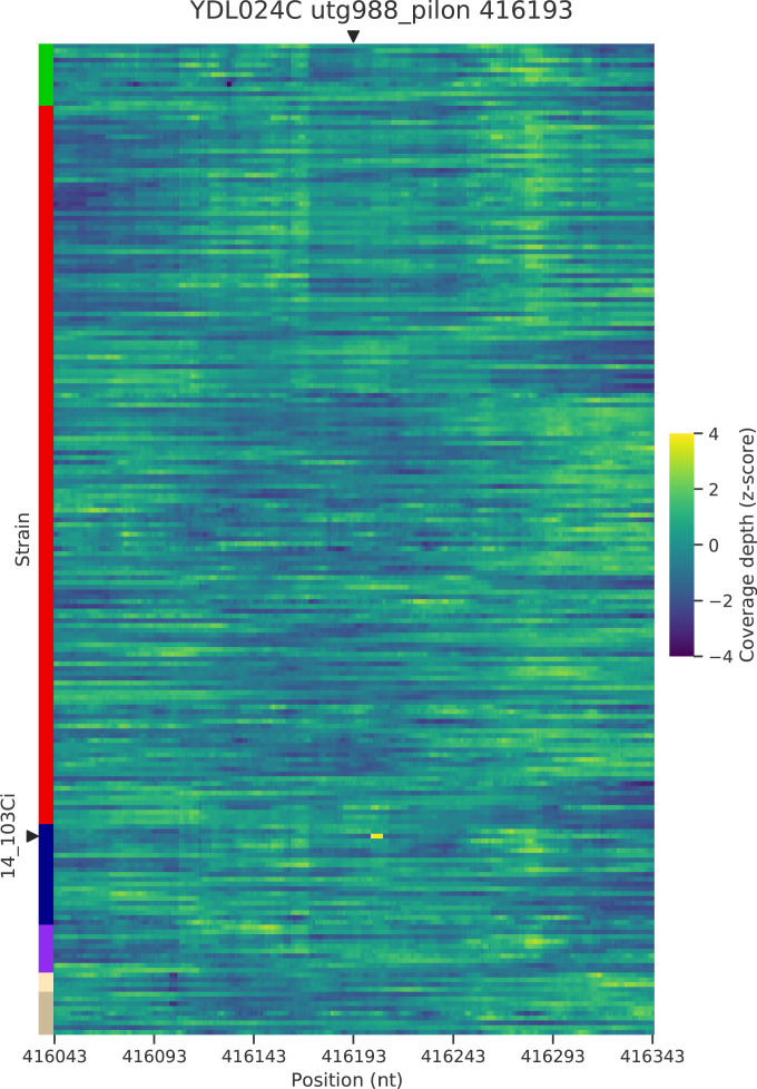 Figure 5—figure supplement 3.