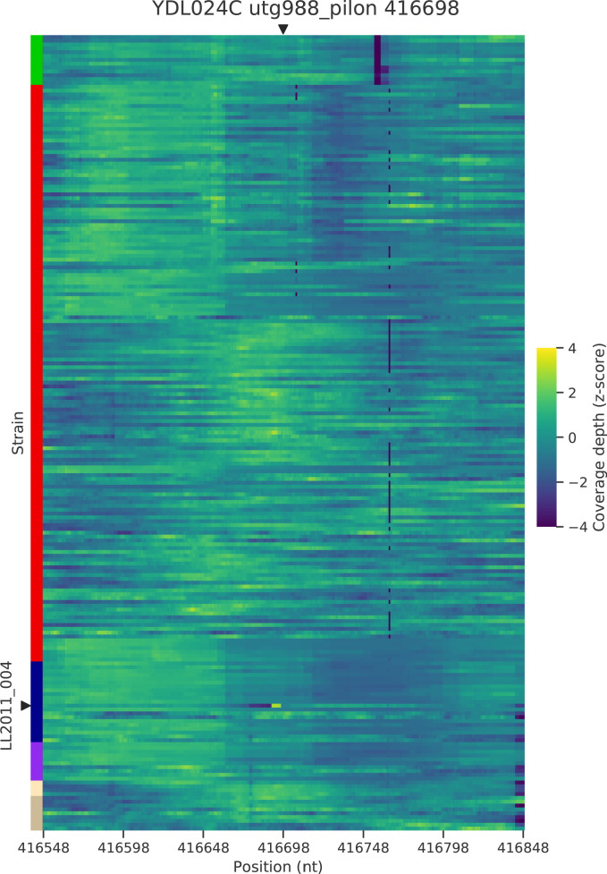 Figure 5—figure supplement 4.