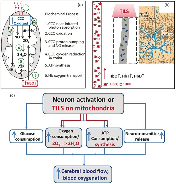 Figure 6.