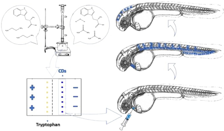 graphic file with name nihms-1519679-f0001.jpg