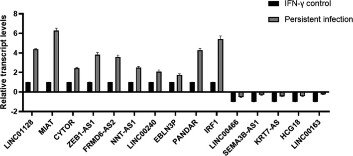 FIGURE 4