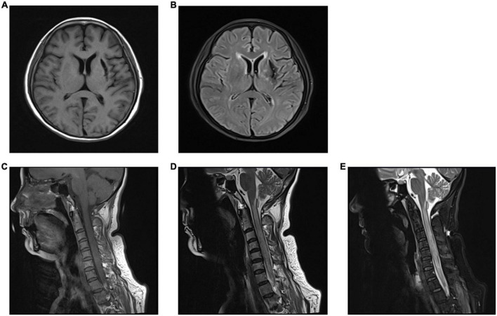 FIGURE 2