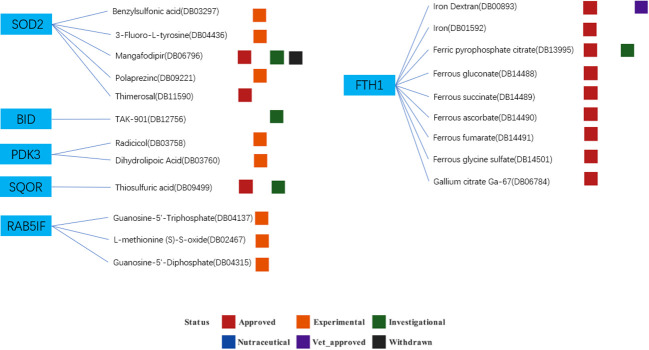 Figure 13