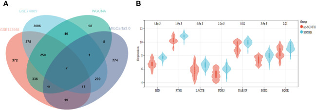 Figure 4