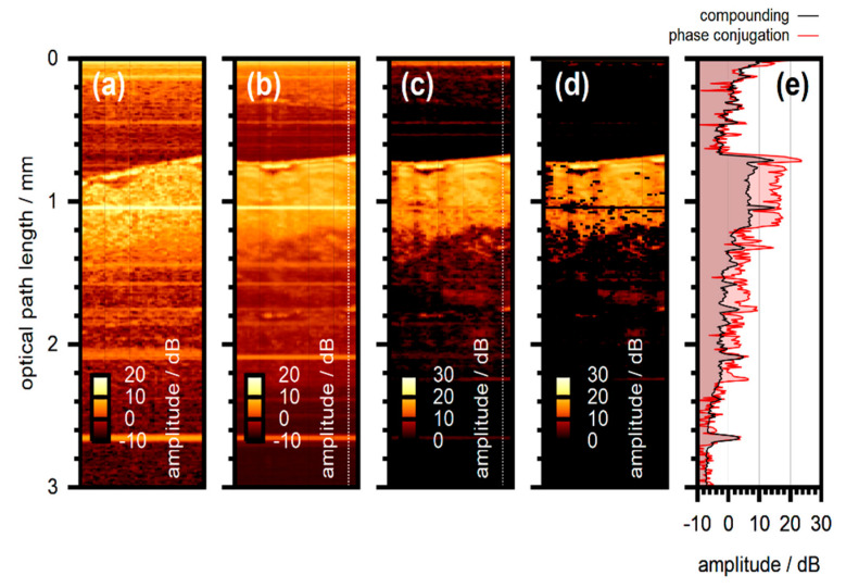 Figure 13