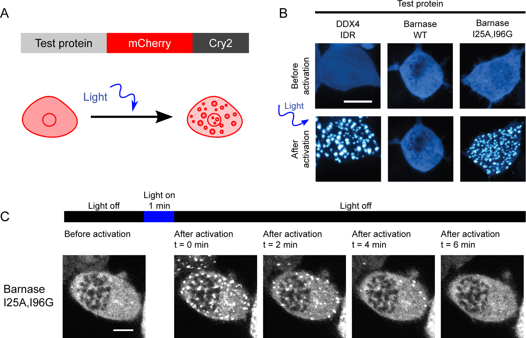 Figure 2.