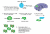Figure 5: