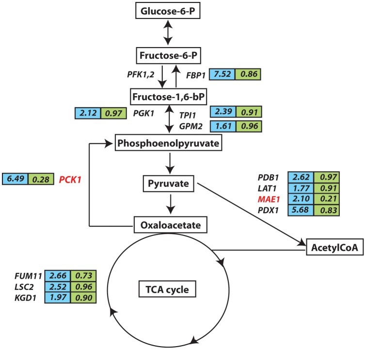 Figure 6