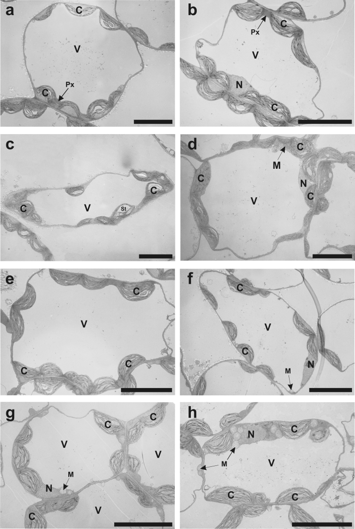 Supplementary Fig. 1