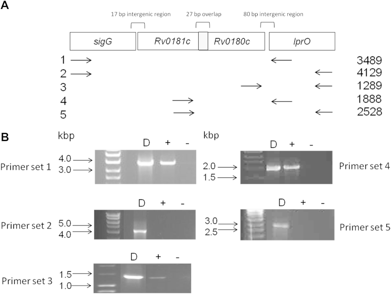 Figure 1