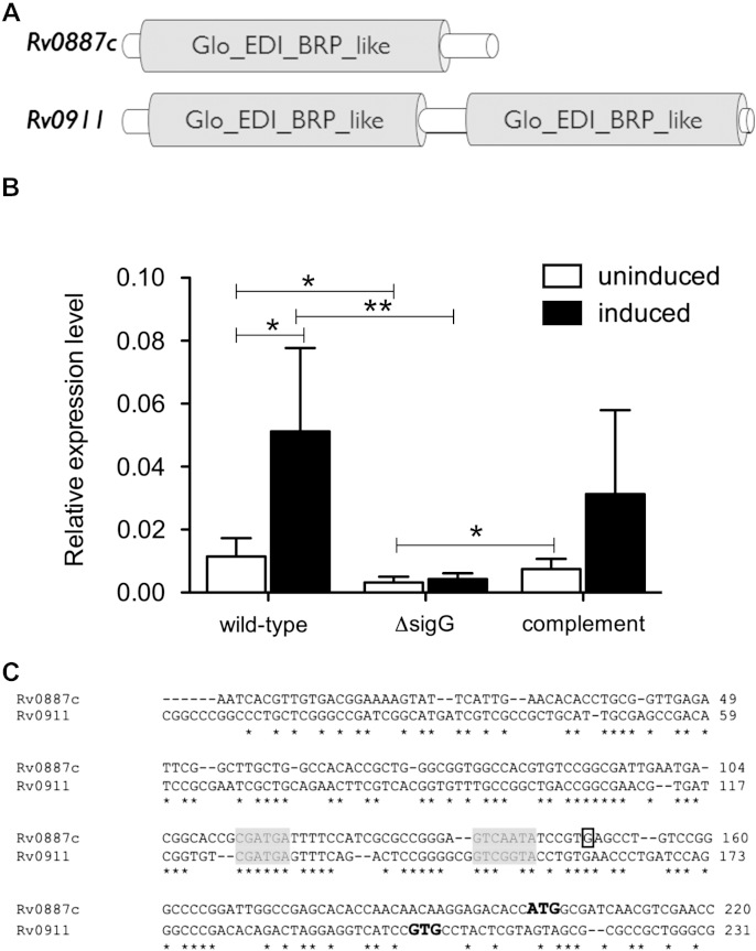 Figure 5