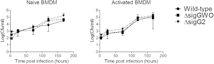 Figure 4