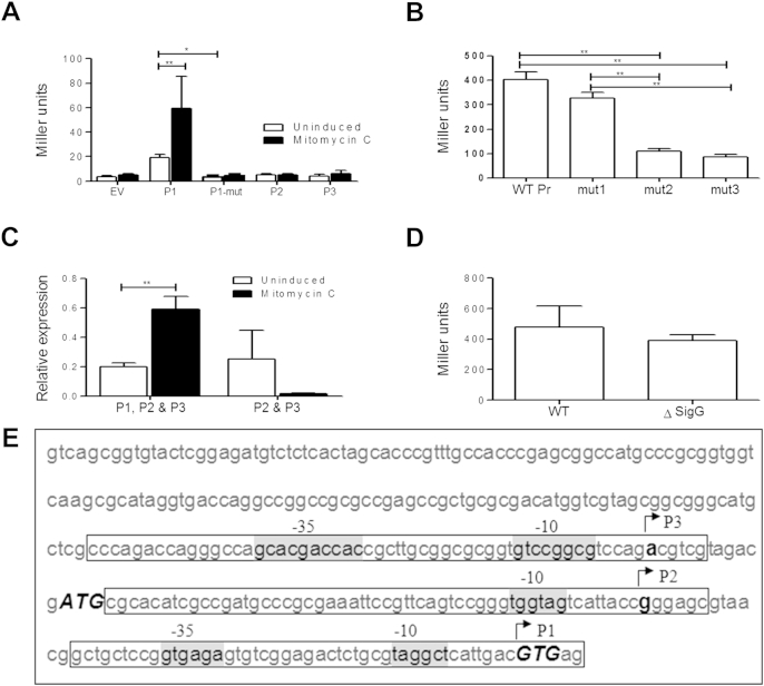 Figure 3