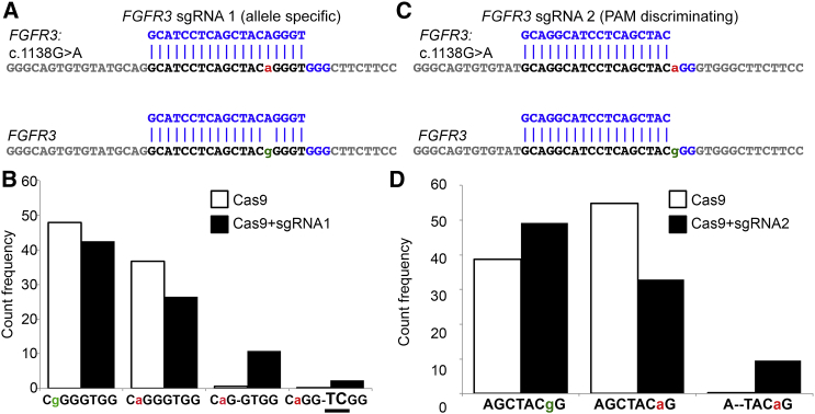 Figure 2