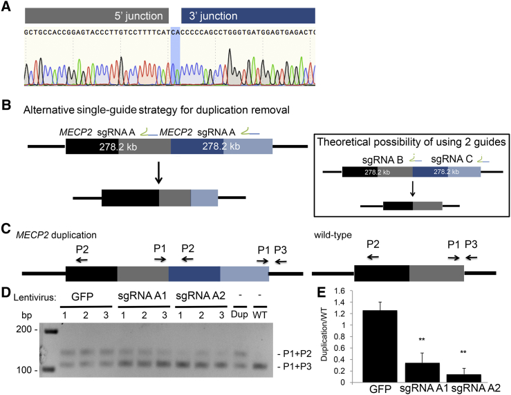 Figure 3