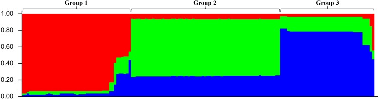 FIGURE 1