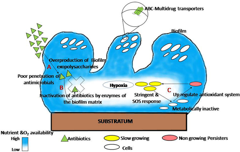 FIGURE 1