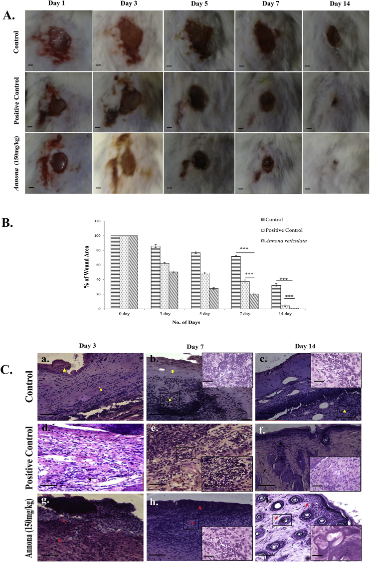 Fig. 4