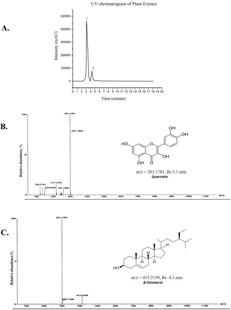 Fig. 6