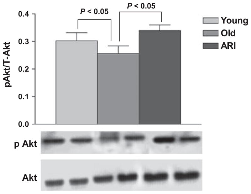 Fig. 9