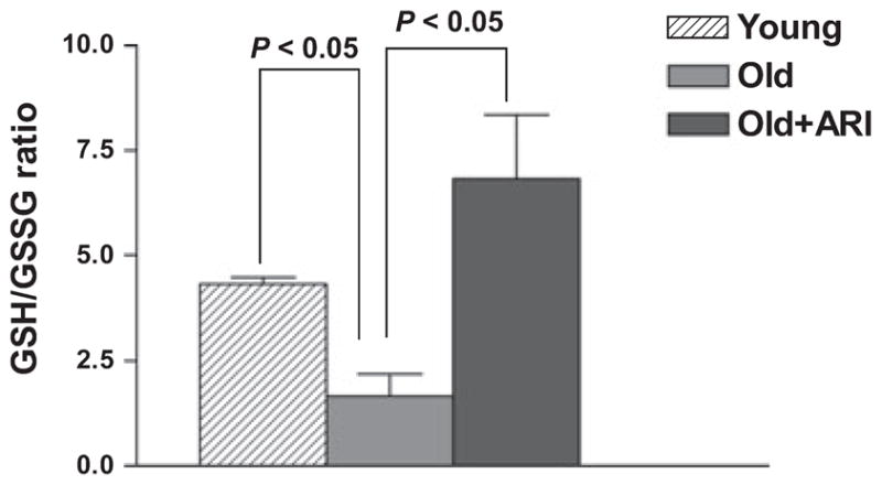 Fig. 8