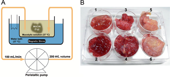 Figure 1: