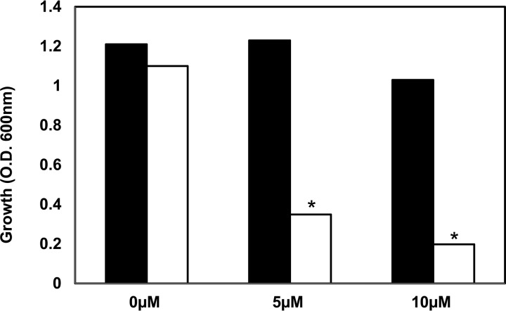 FIG 6